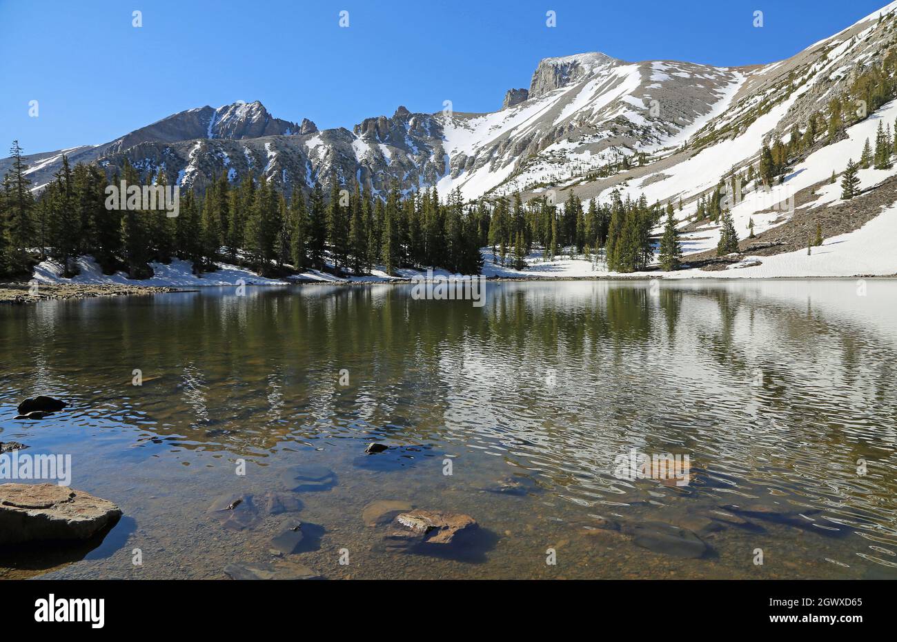 Stella Lake - Great Basin National Park, Nevada Stock Photo