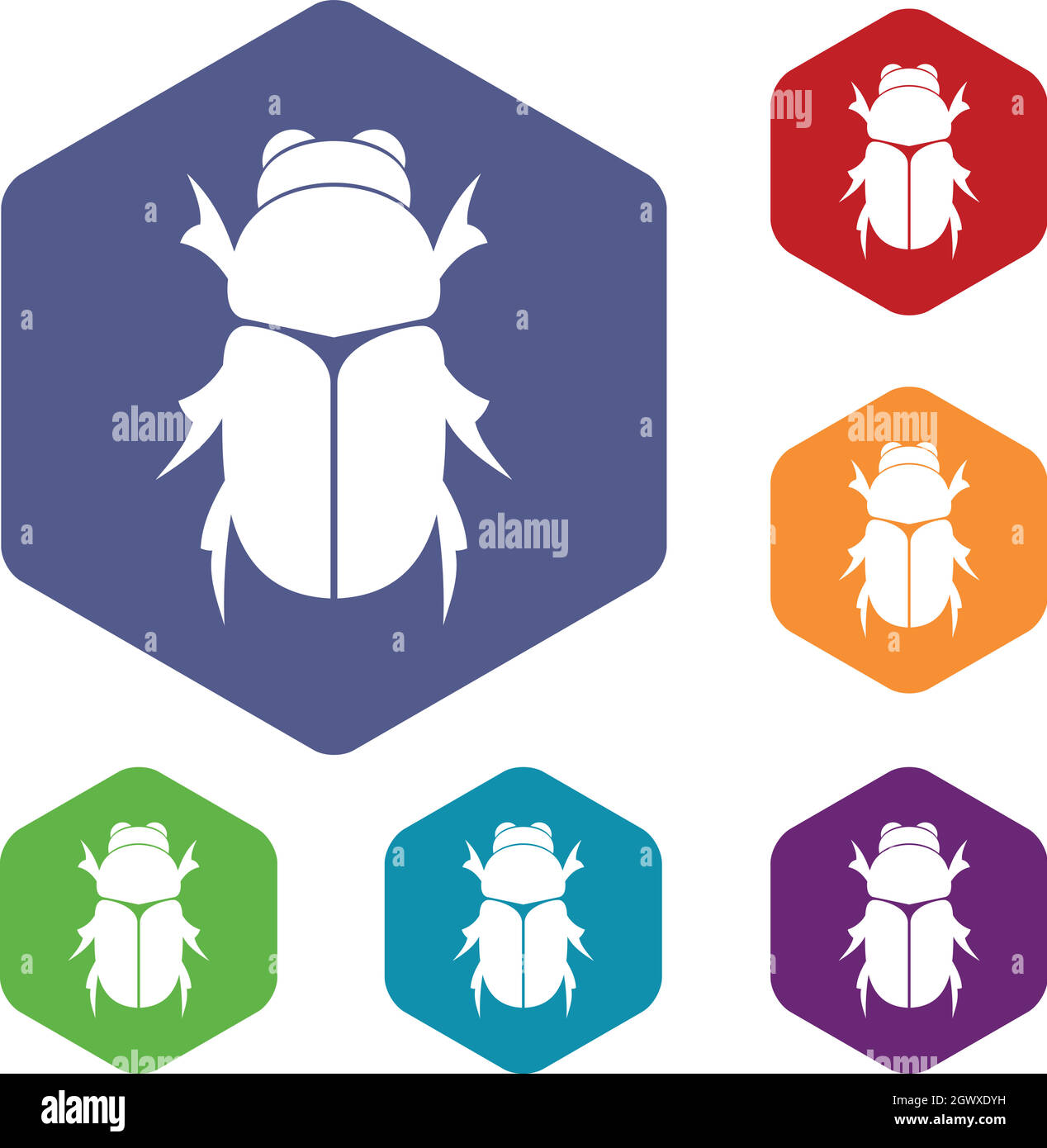 Chafer beetle icons set Stock Vector Image & Art - Alamy