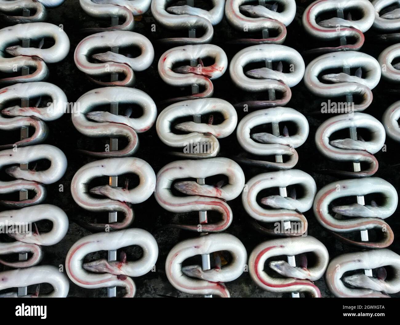 Eels River Skewered Stock Photo Alamy