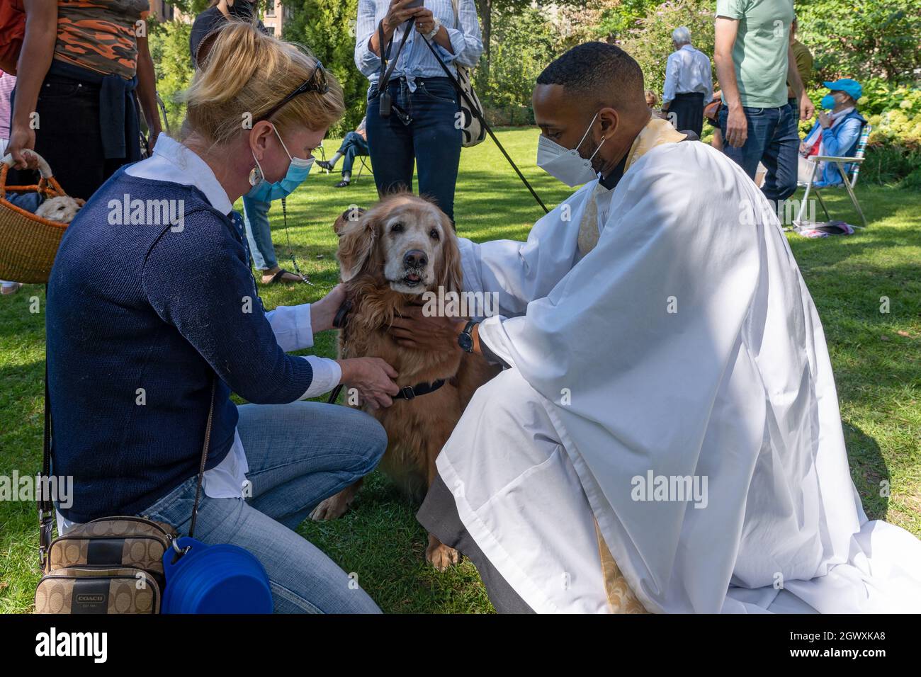 NEW YORK, NY OCTOBER 03 A priest blesses a dog at the Blessing of the Animals at the