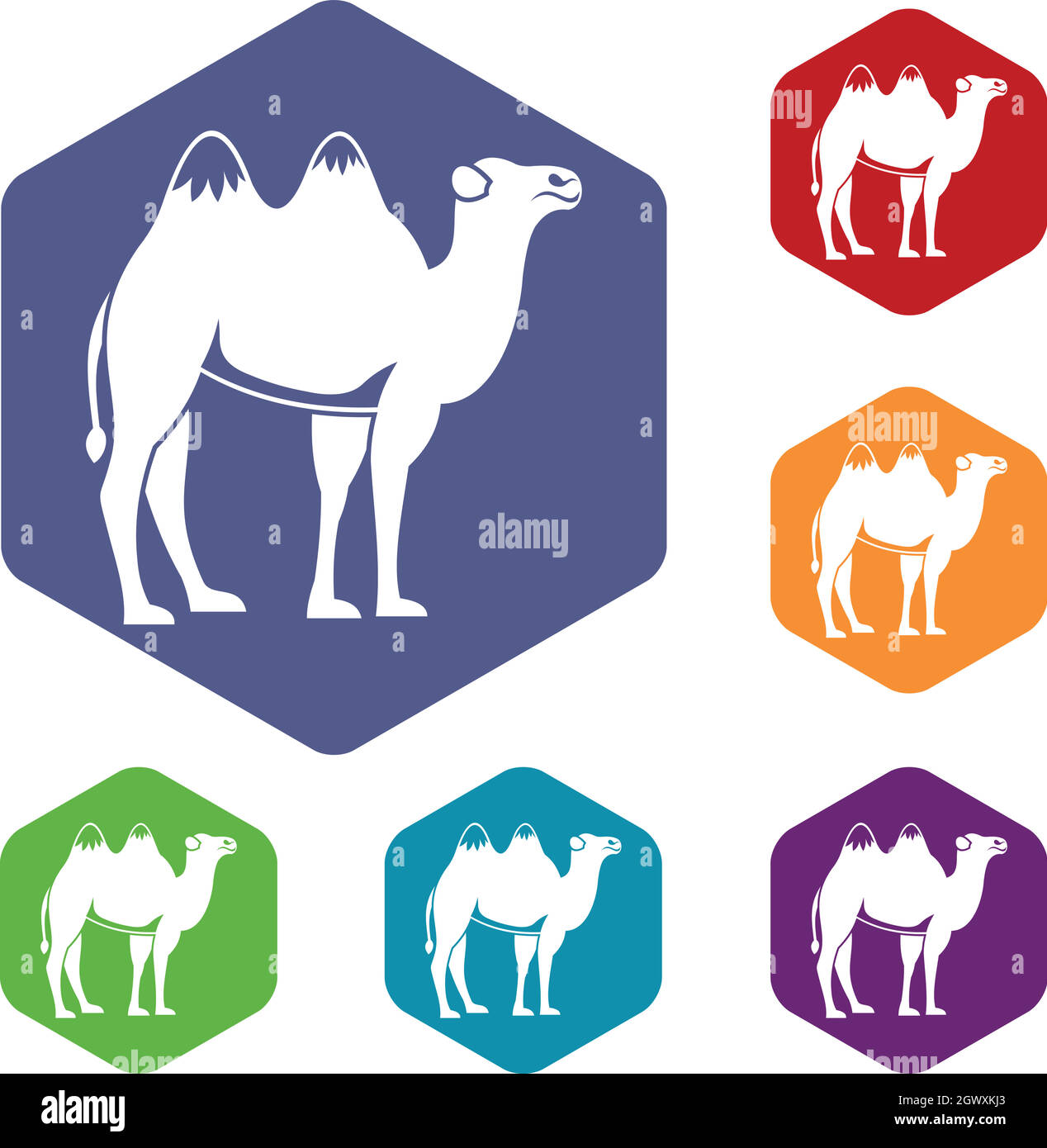 Camel icons set Stock Vector