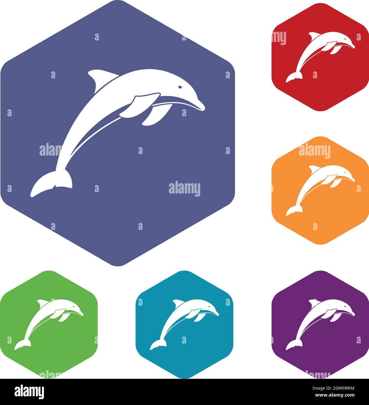 Set of dolphin hi-res stock photography and images - Alamy