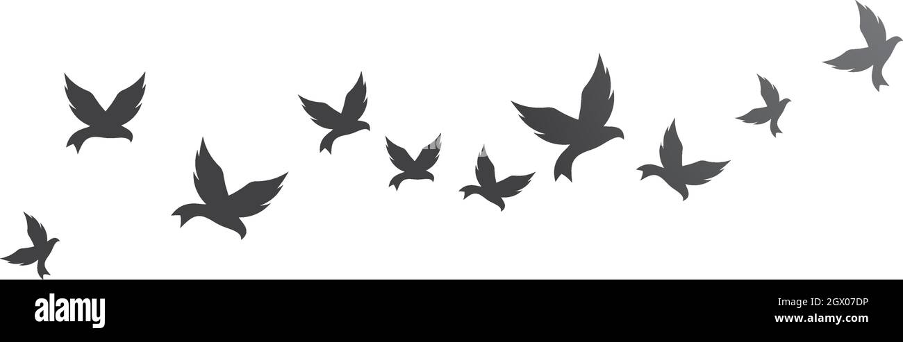Bird background Template vector illustration Stock Vector Image & Art ...
