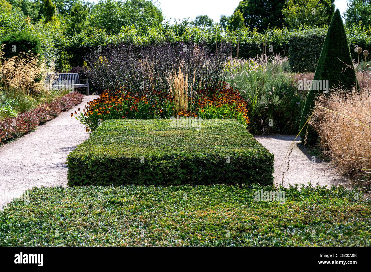 RHS Hyde Hall, Modern Country Garden. Clipped and trimmed yew and box, evergreen structure. Stock Photo