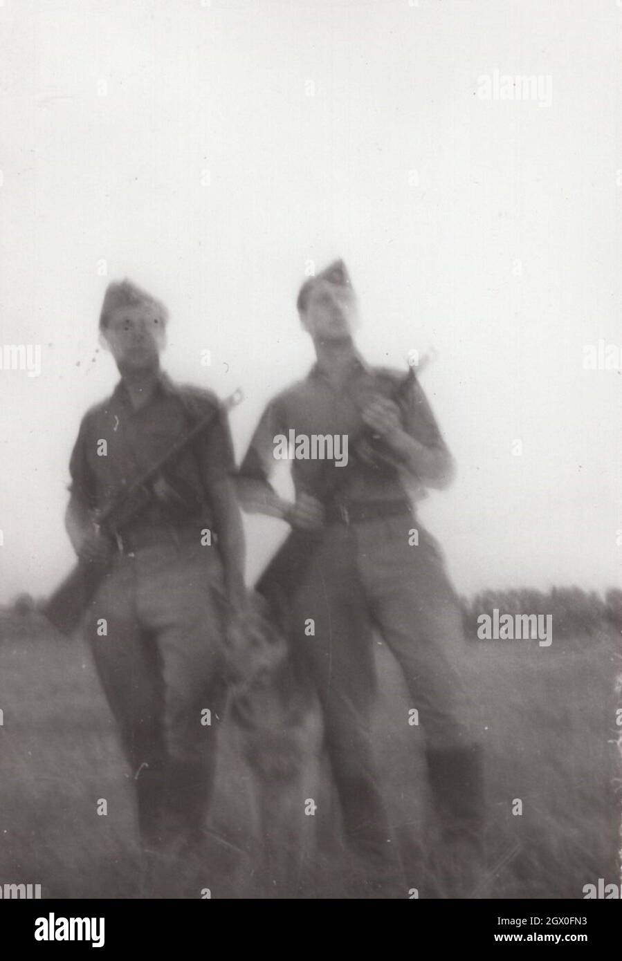 vintage / Retro army / military PPsh-41 series 1. Two soldiers are with a dog ( German Shepherd ) posing with them  Soviet submachine gun on the field  around at the 1950's. They are from Eastern Europe possibly Hungary. Source: original photograph papasha design by Georgy Shpagin. The PPSh-41 was in service from 1941-1960's Stock Photo