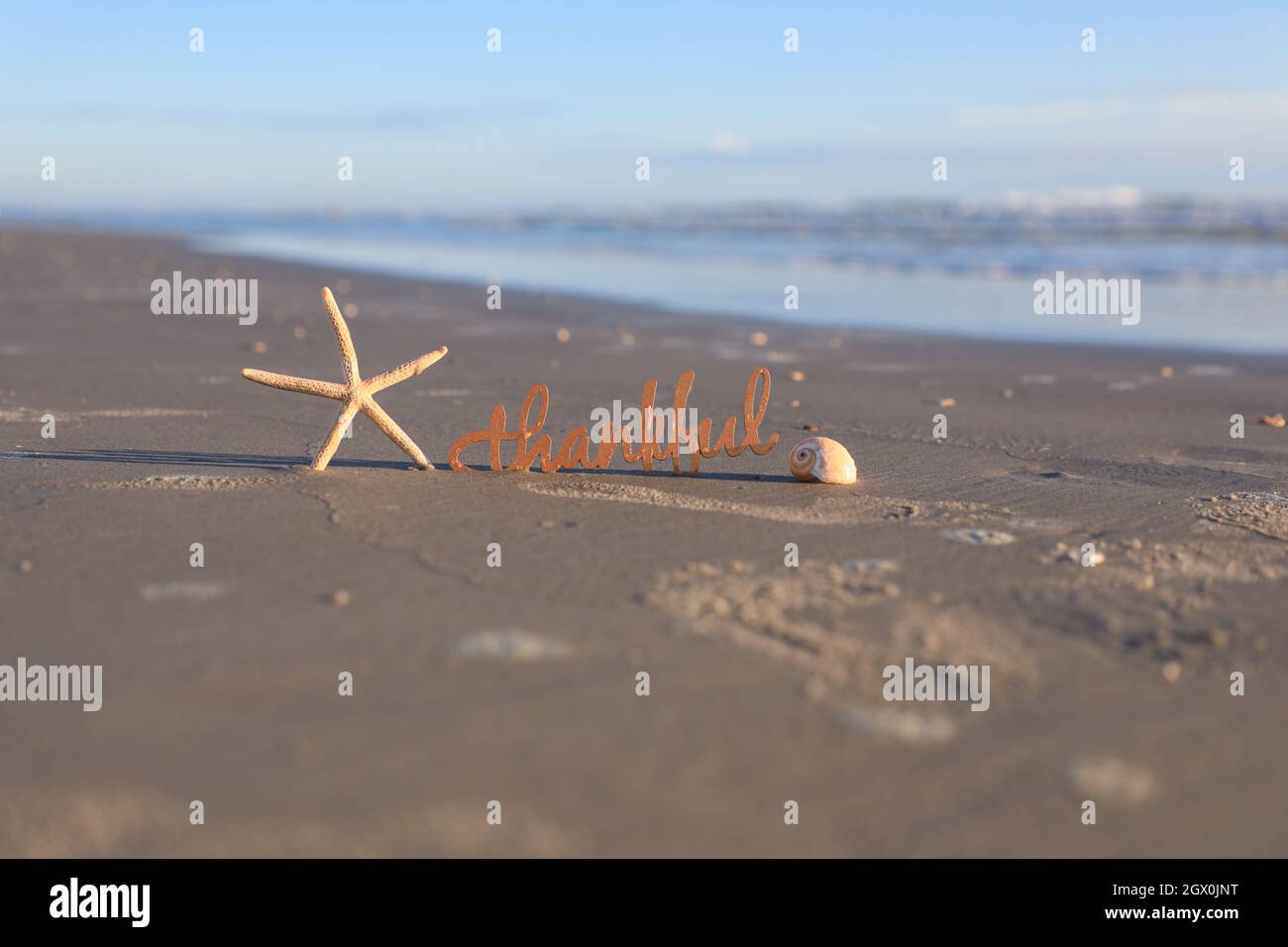 Fall on the Beach Ocean Shore Seashells Thanksgiving Blessings Stock Photo