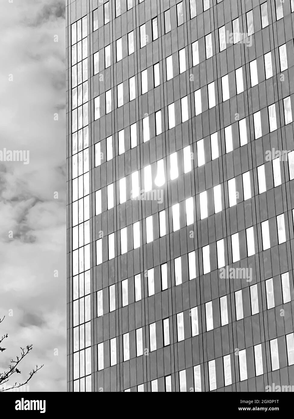 Black And White Office Building In Sunlight Stock Photo Alamy