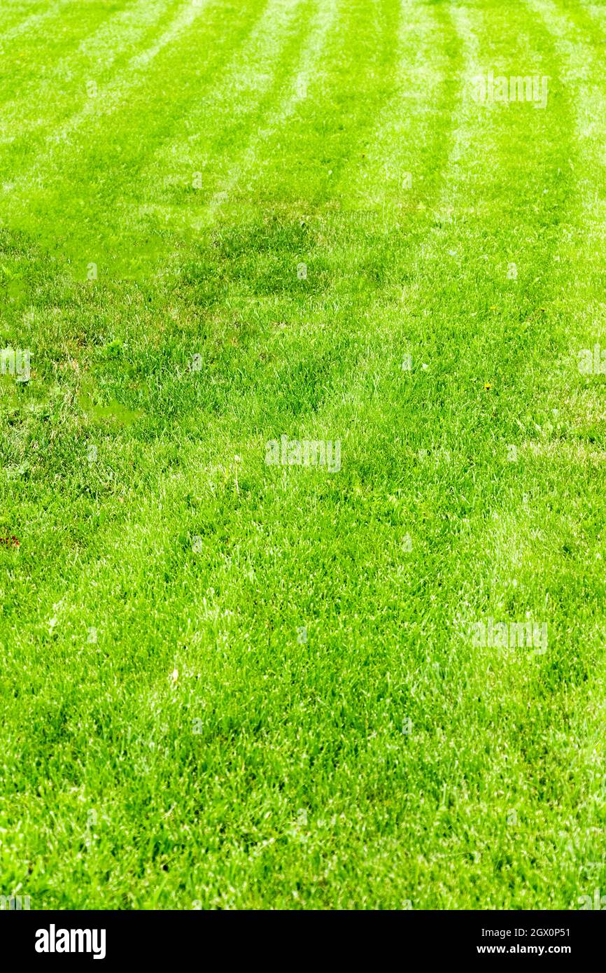 Modern garden curve border lawn hi-res stock photography and images - Alamy