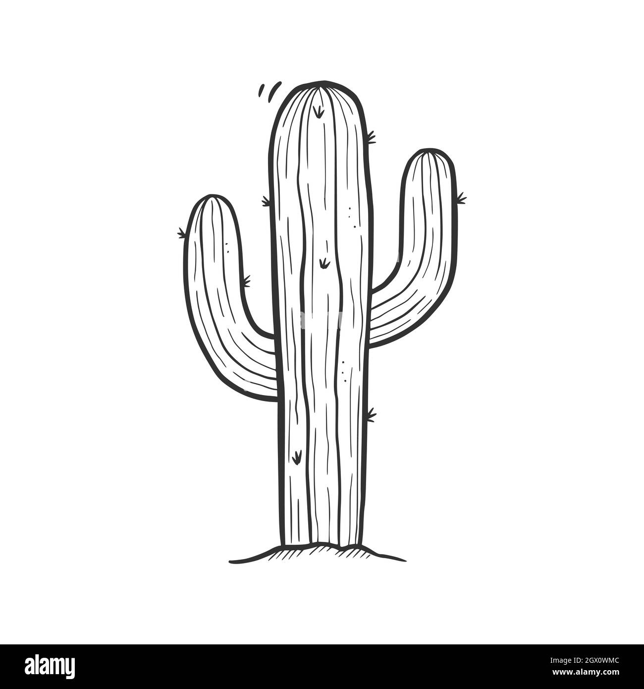 Top Cactus Drawings Stock Vectors, Illustrations & Clip Art - iStock