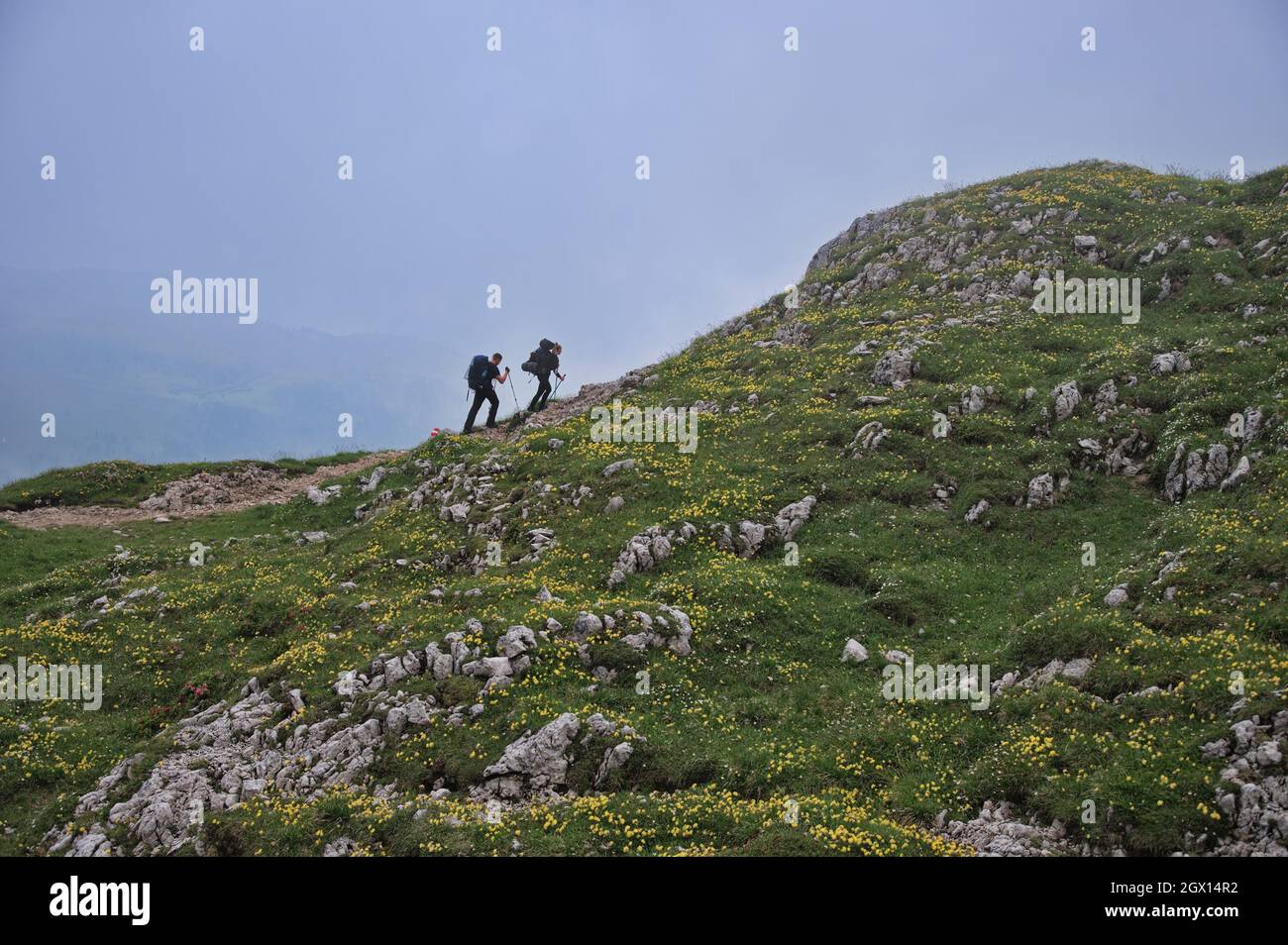 Hiking in amazing rocks of Dolomite mountains in Italy Stock Photo - Alamy