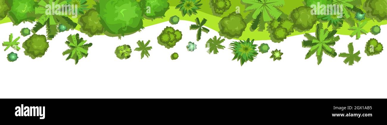 Edge of Jungle forest. Top view. Horizontal seamless composition. Overgrown rainforest. Isolated on a white background. Cartoon style flat design. Ill Stock Vector