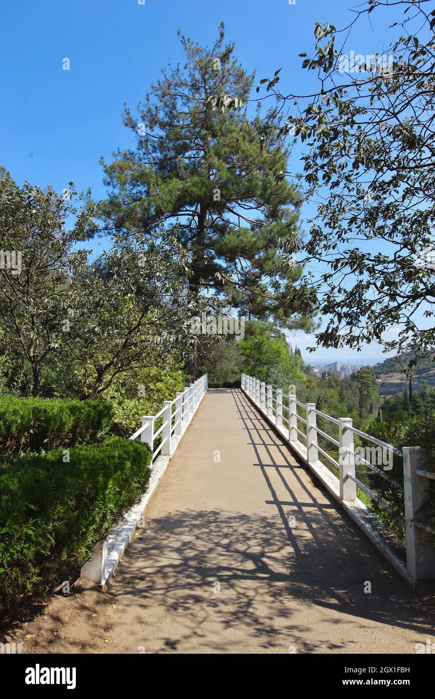 Empty Footpath Amidst Trees Against Clear Sky Stock Photo