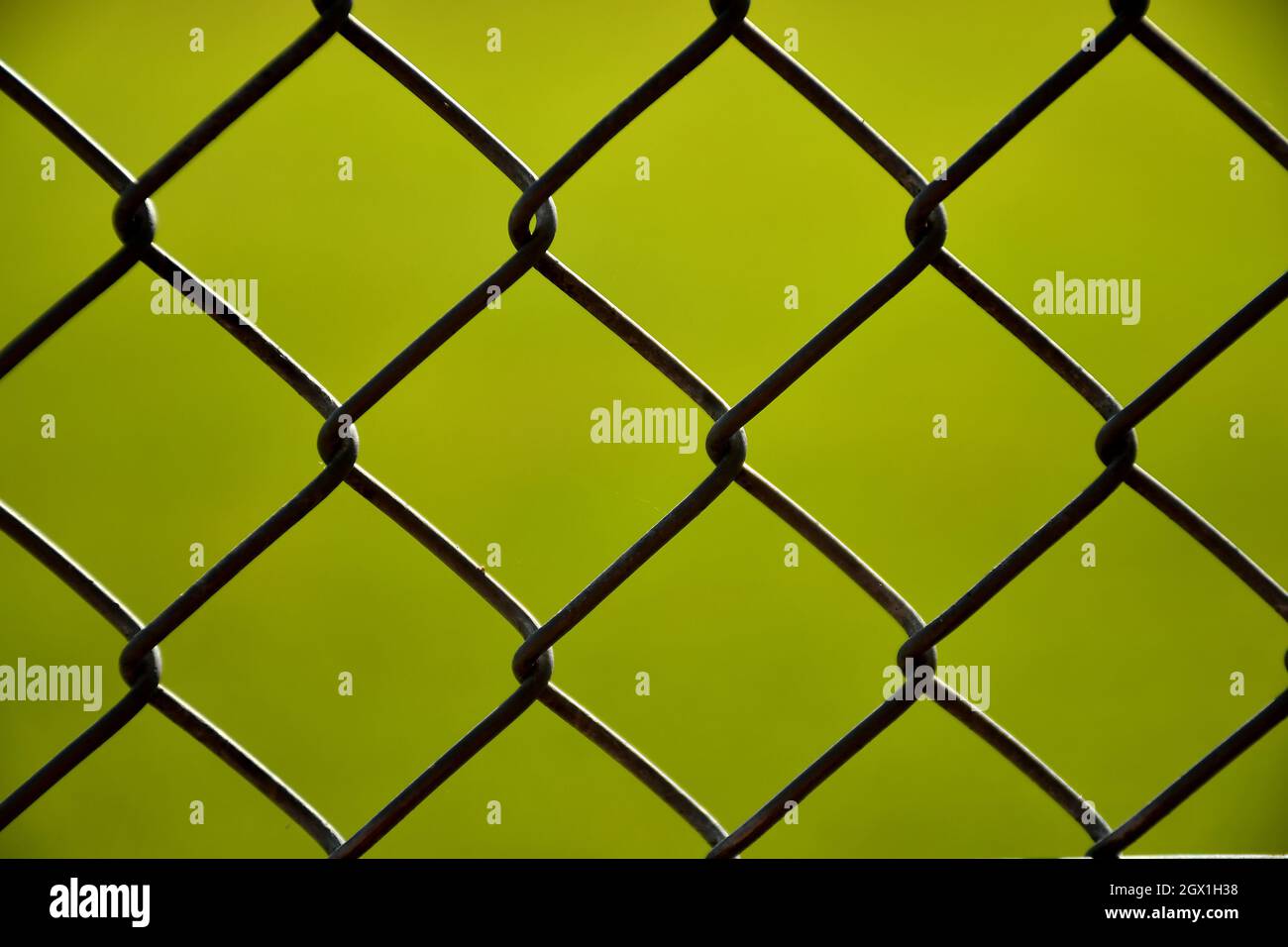 fence with green, blurred background Stock Photo