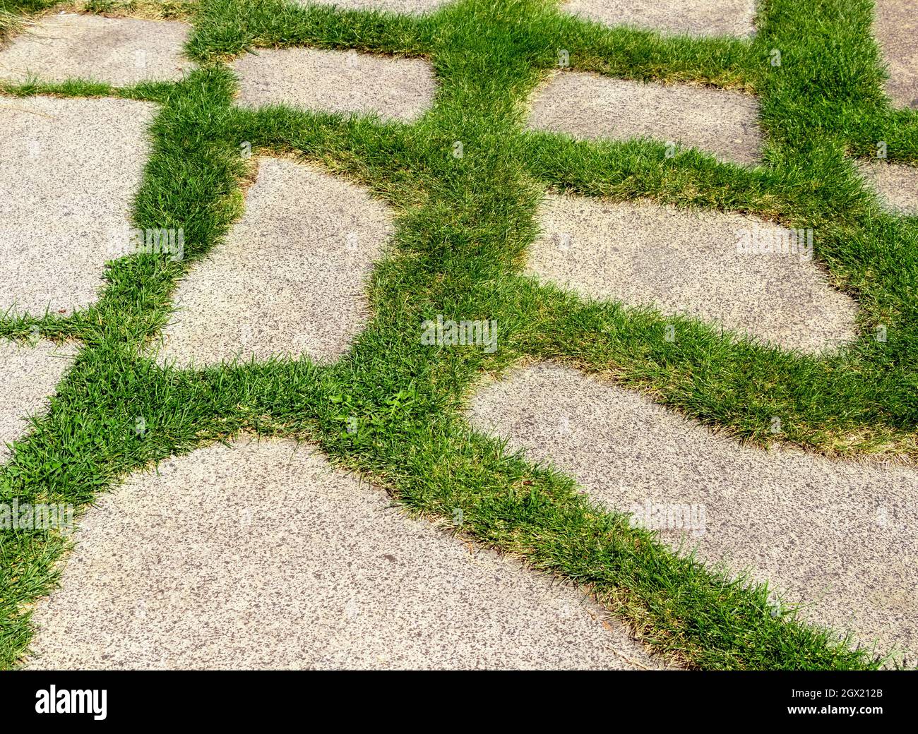 Modern garden curve border lawn hi-res stock photography and images - Alamy