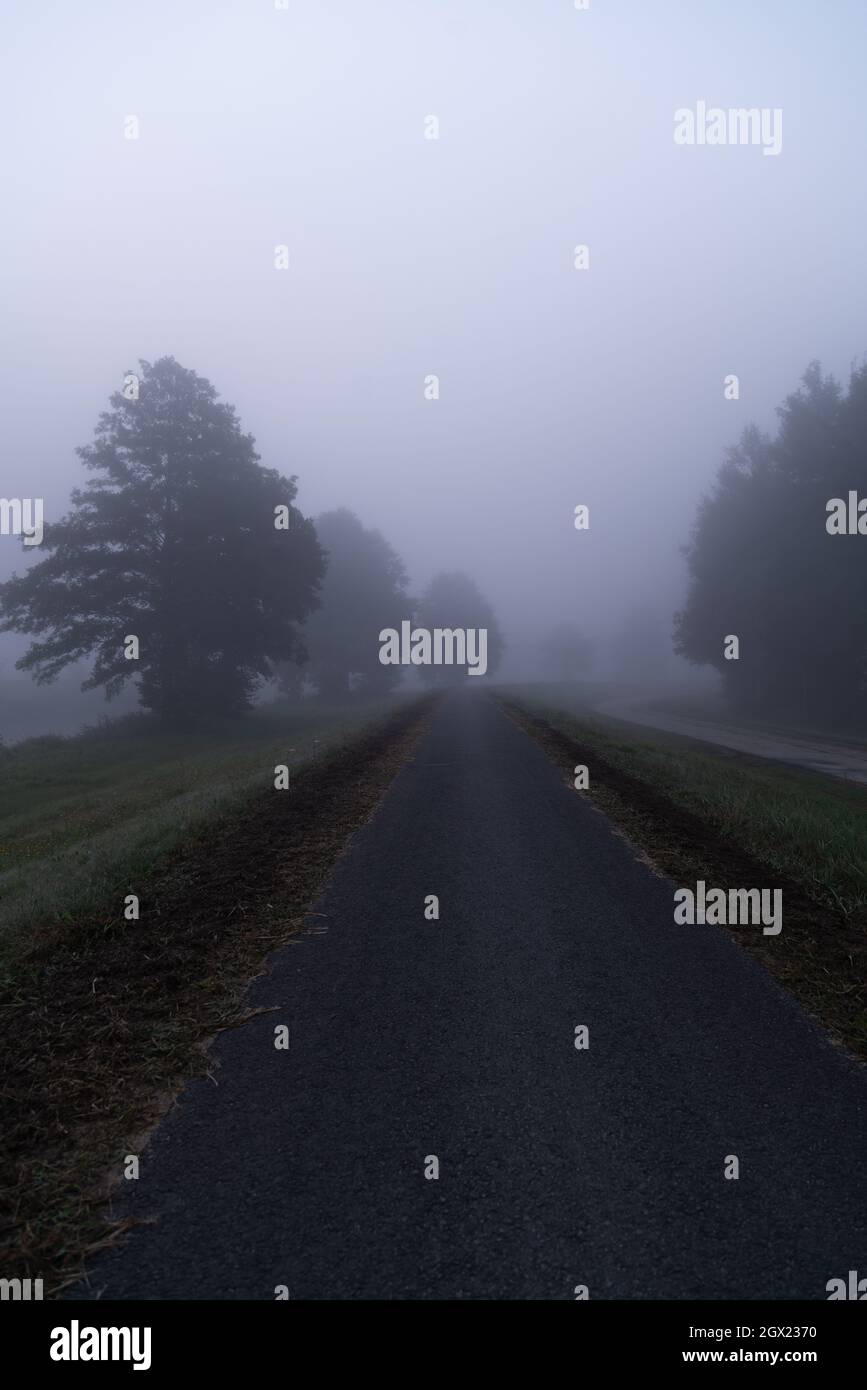 Empty asphalt road through the forest on a misty day Stock Photo - Alamy
