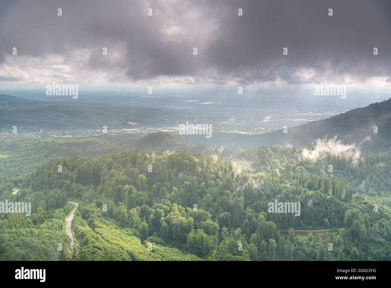 Rising Fog After A Summer Thunderstorm In The German Black Forest Stock Photo Alamy
