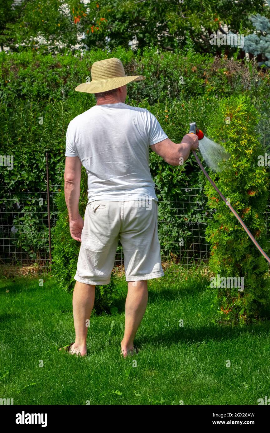 A man gardener uses a hose to water garden plants Stock Photo - Alamy