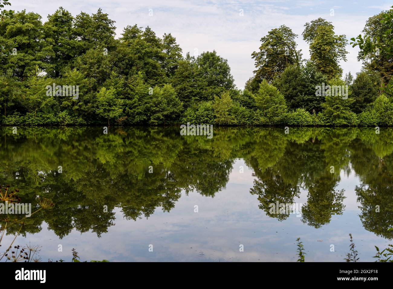 Reflection Of Trees In Lake Against Sky Stock Photo