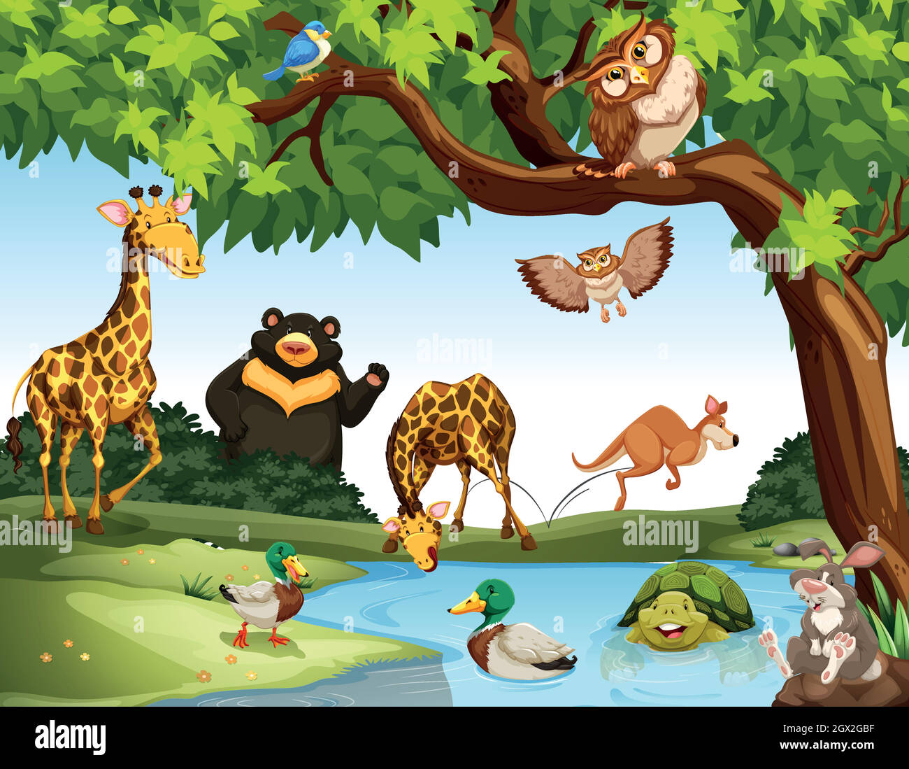 Many wild animals in the park Stock Vector Image & Art - Alamy