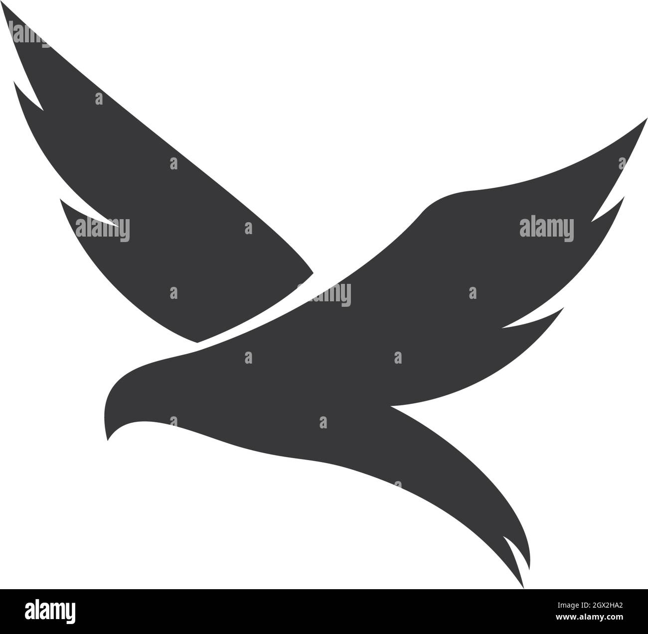 Bird Logo Template vector illustration Stock Vector Image & Art - Alamy