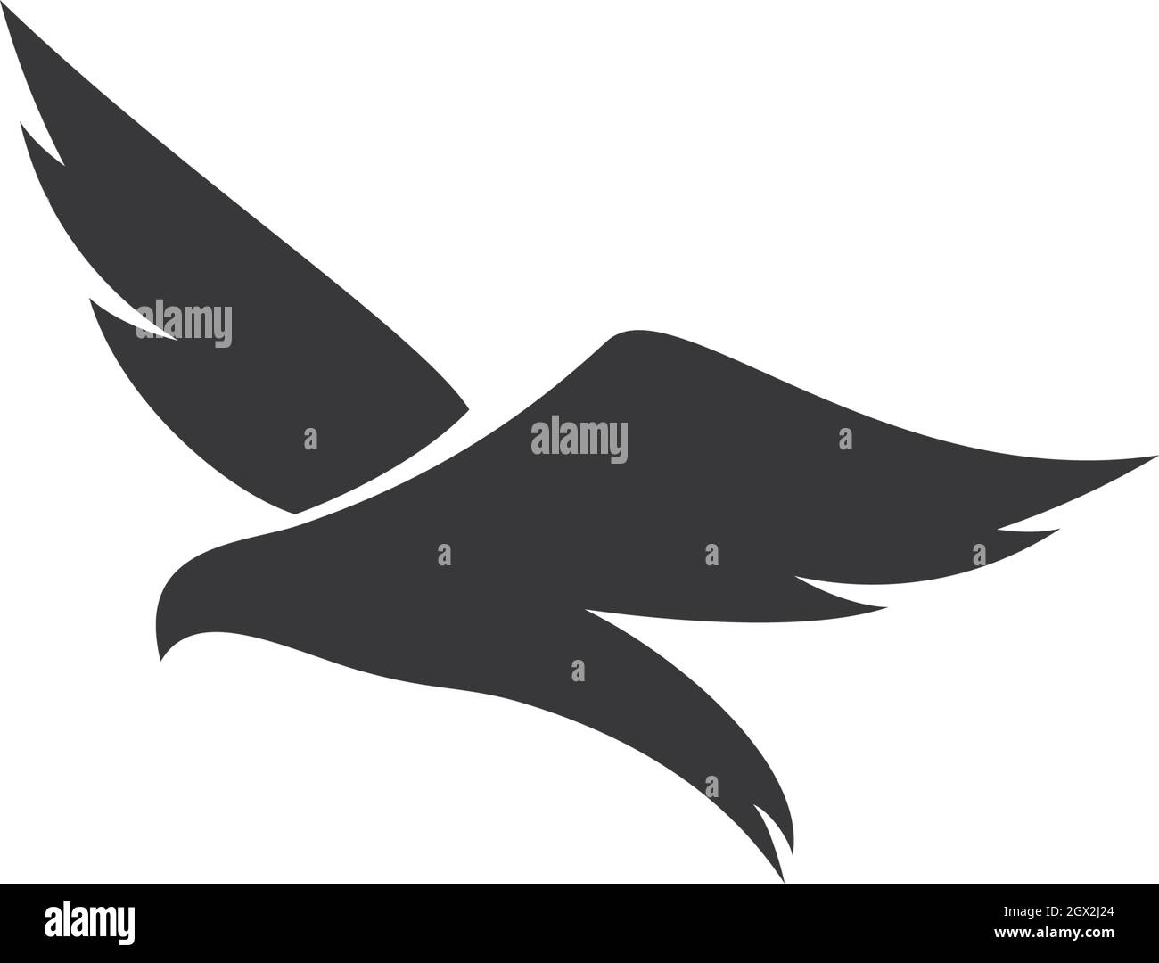 Bird Logo Template vector illustration Stock Vector Image & Art - Alamy