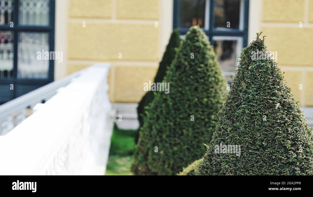 Pyramid hedge hi-res stock photography and images - Alamy