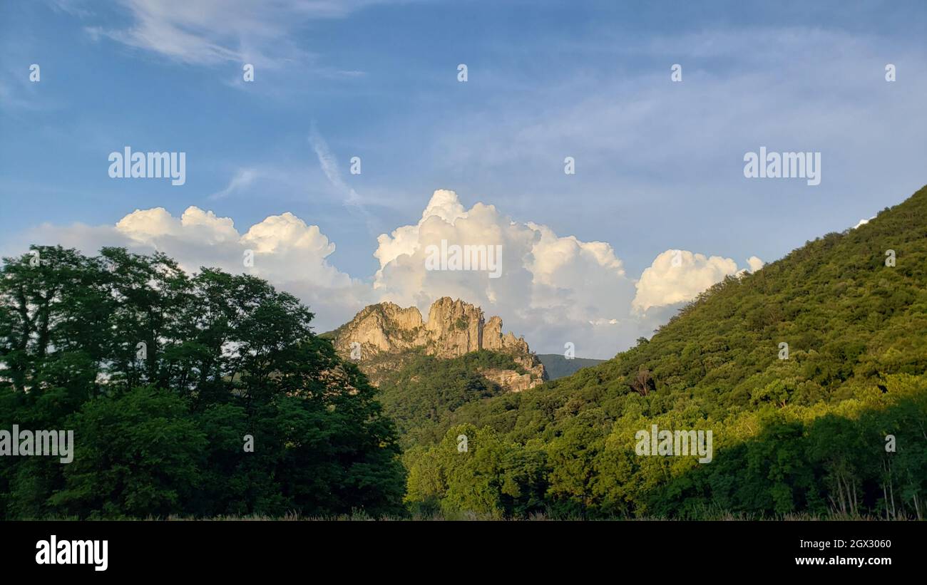 Seneca grass hi-res stock photography and images - Alamy