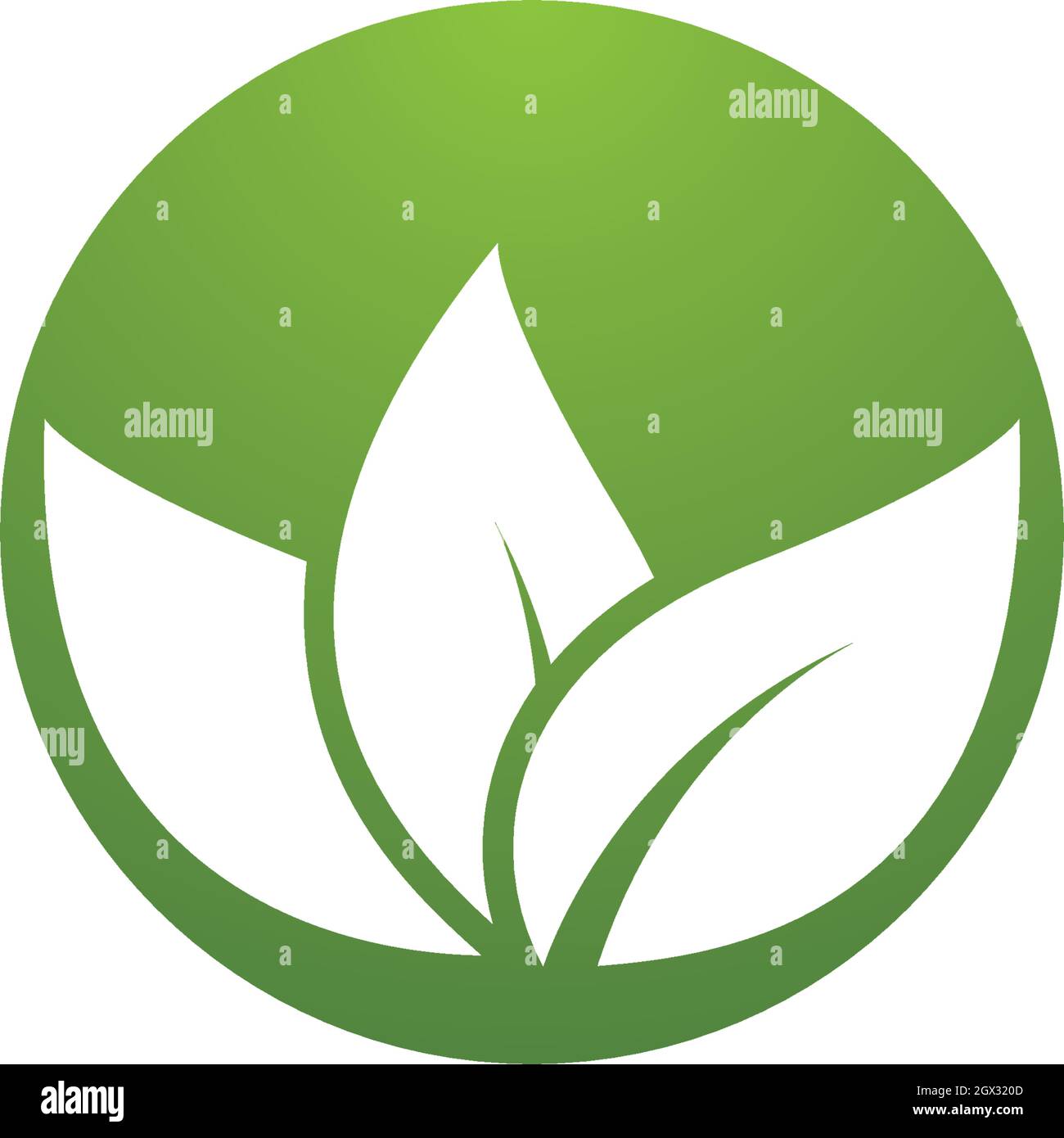 Logos of green leaf ecology nature element vector icon Stock Vector ...