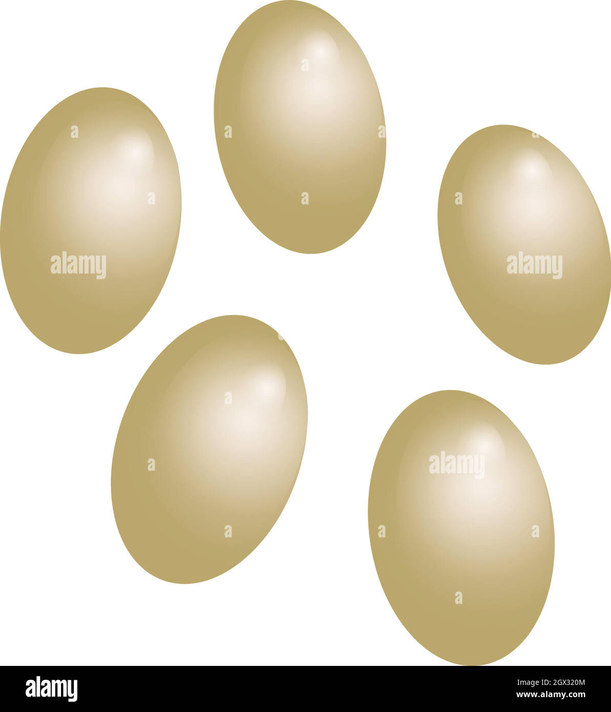 Mealworm egg hires stock photography and images Alamy