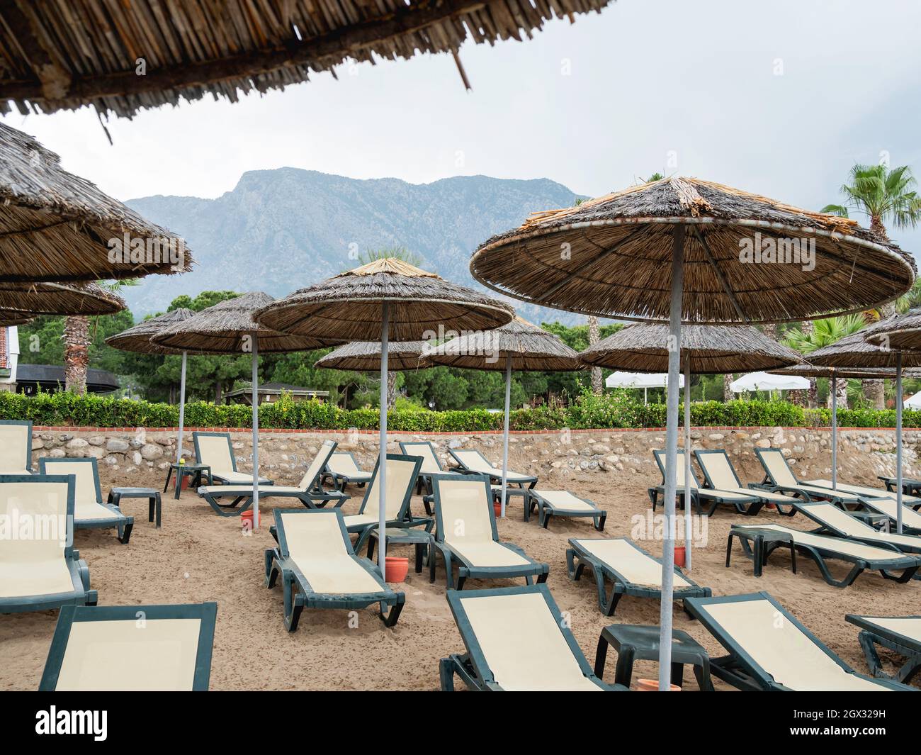 Deserted Hotel In Turkey. Empty Deck Chairs Under Palm Trees. Quarantine Coronavirus Covid-19. Stock Photo