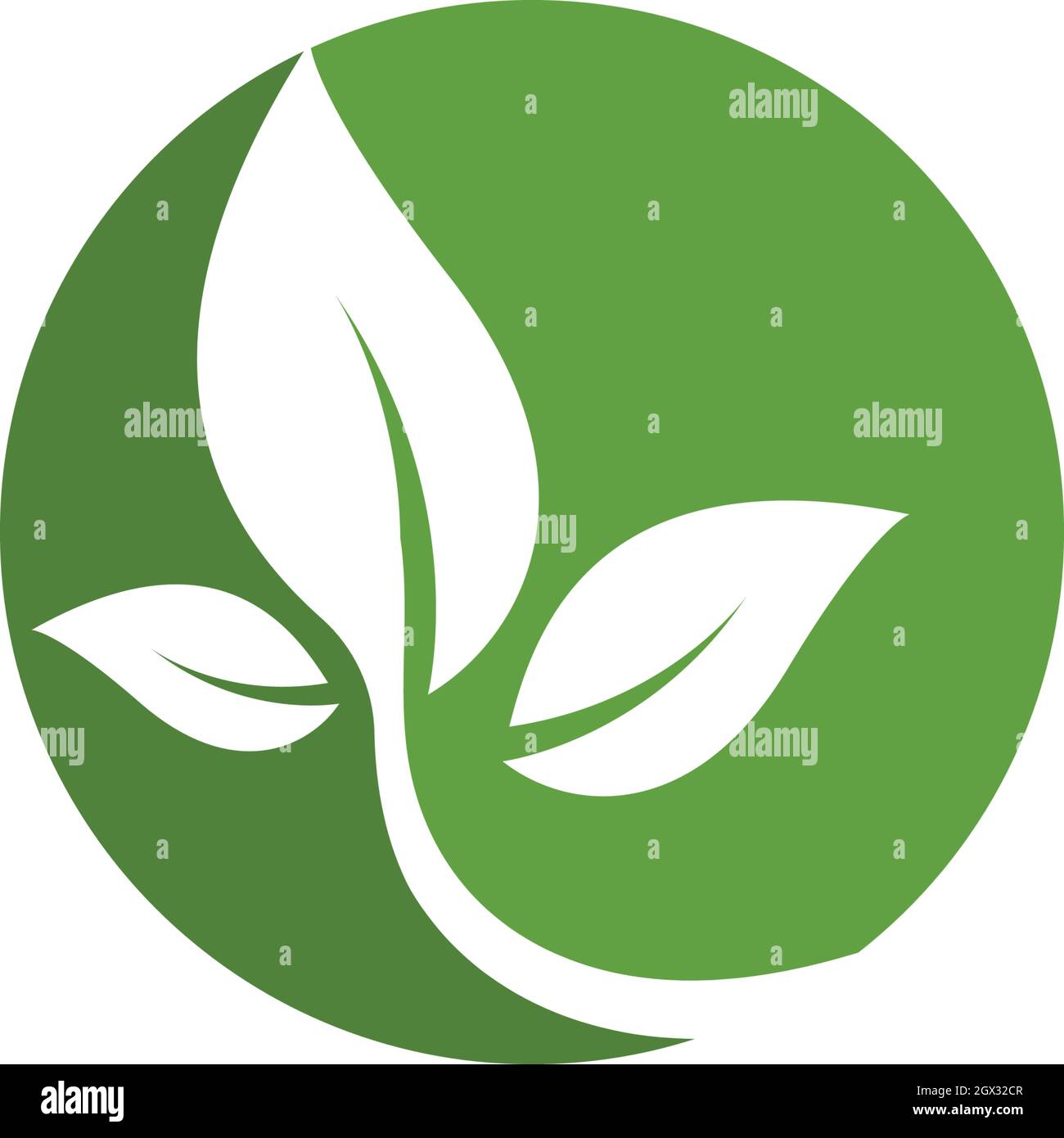 Logos of green leaf ecology nature element vector icon Stock Vector ...