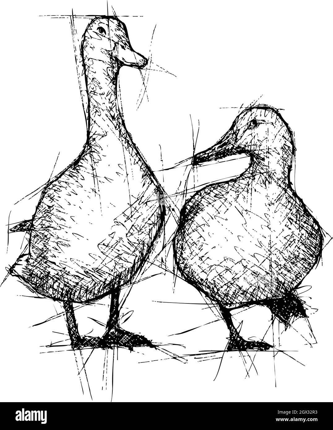 Ducks Stock Vector
