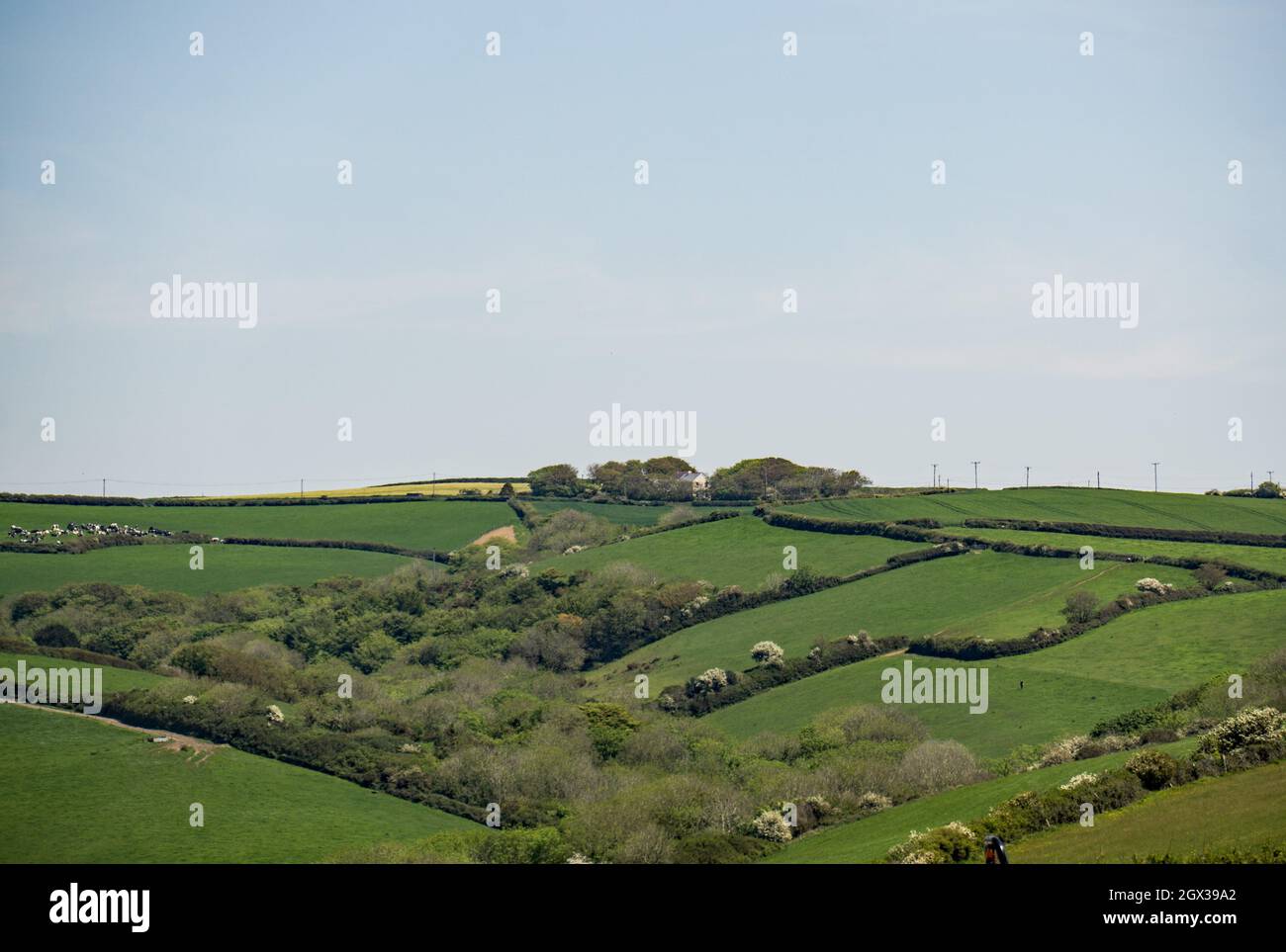 Dartmoor plain hires stock photography and images Alamy