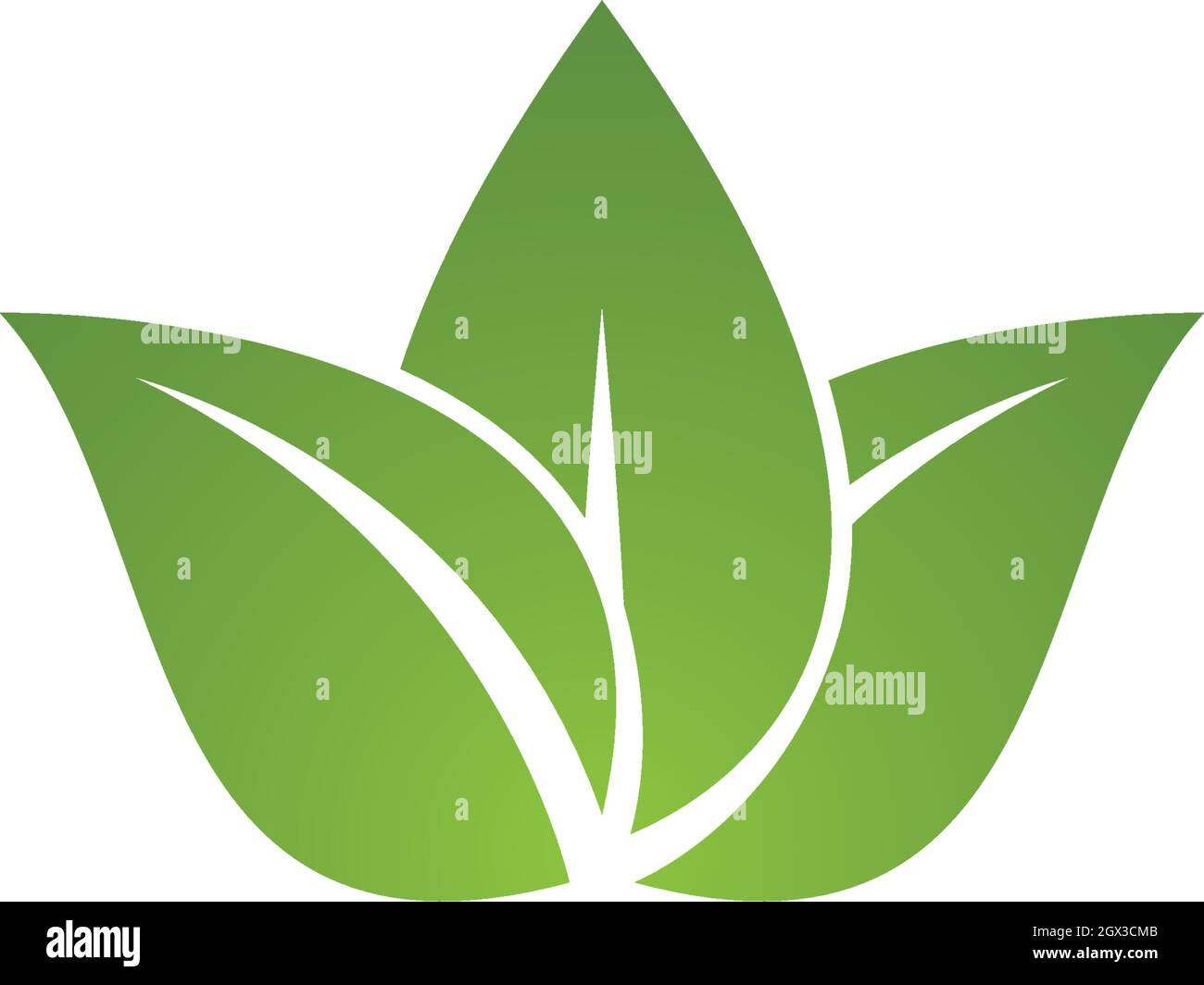 Logos of green leaf ecology nature element vector icon Stock Vector ...