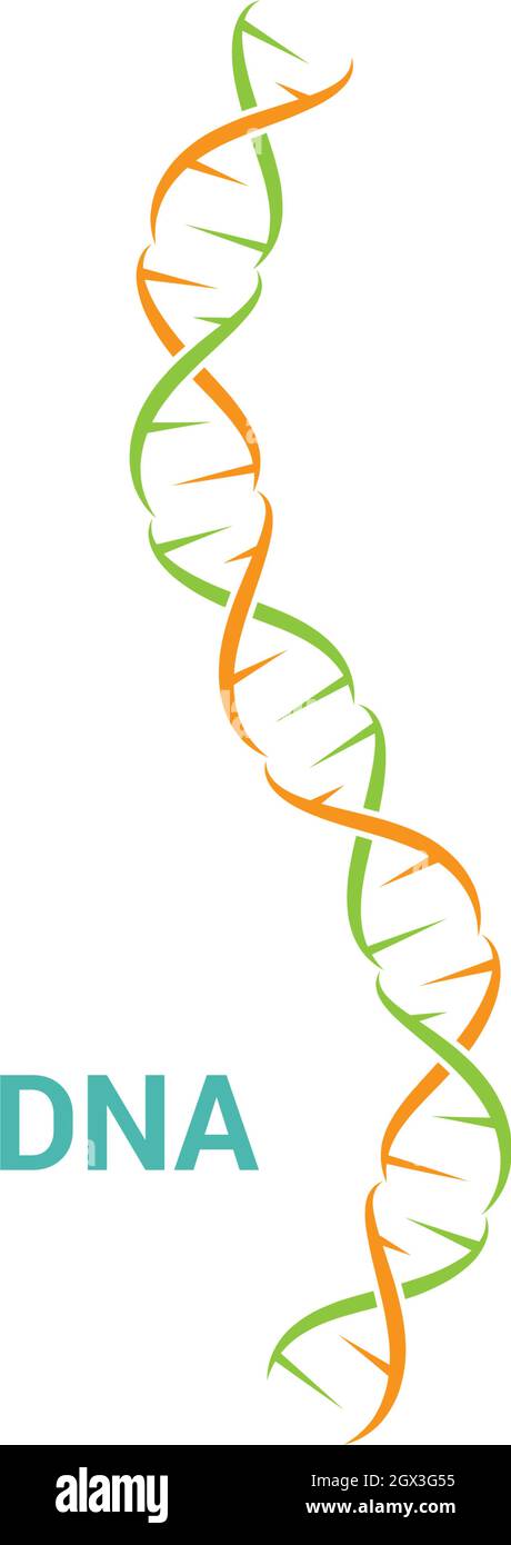 DNA logo vector icon template Stock Vector Image & Art - Alamy
