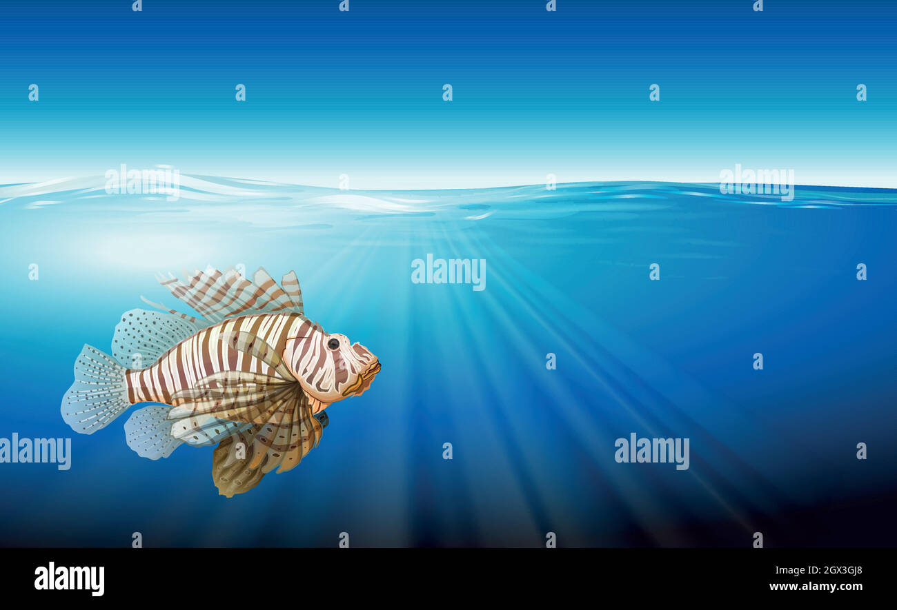 A lionfish Stock Vector