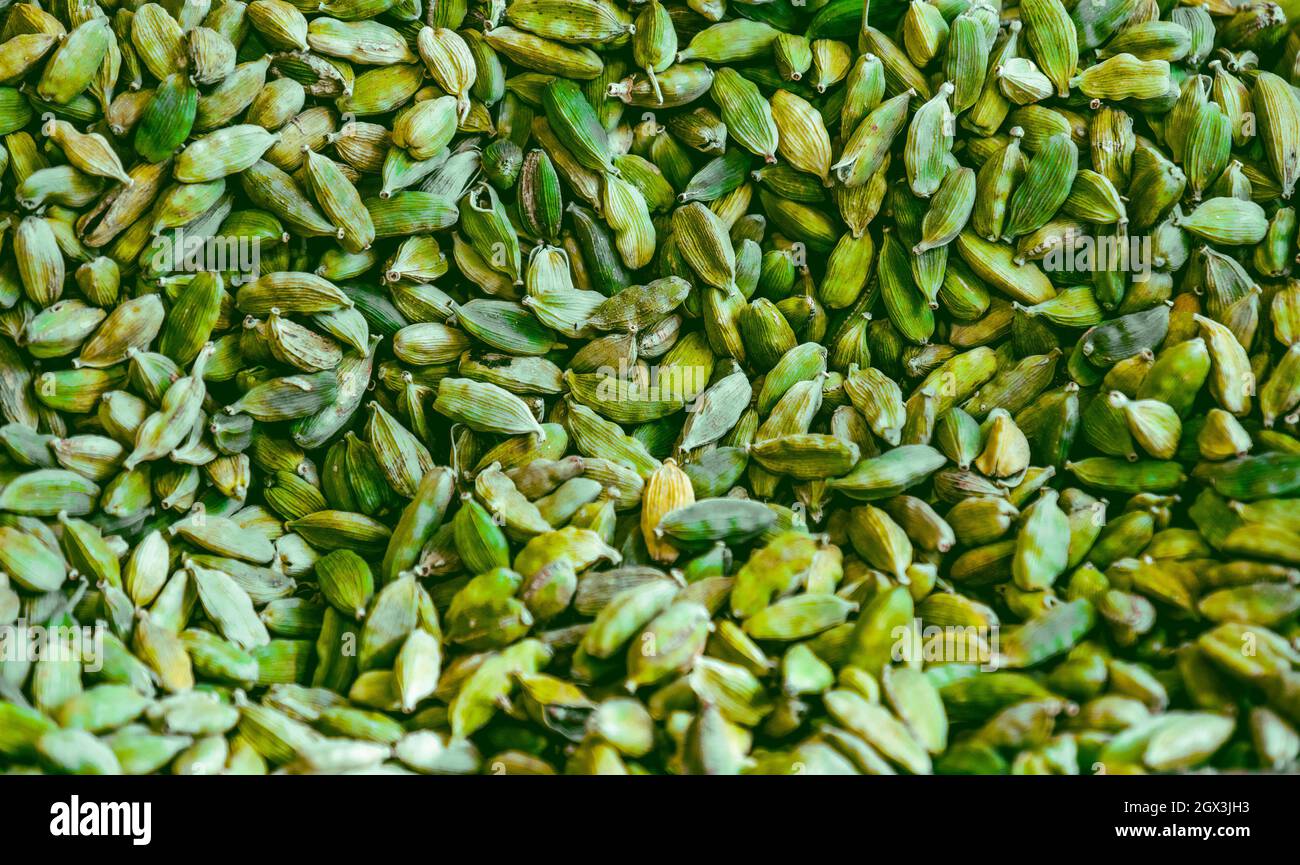 cardamon colour green background horizontal cardamom texture Stock