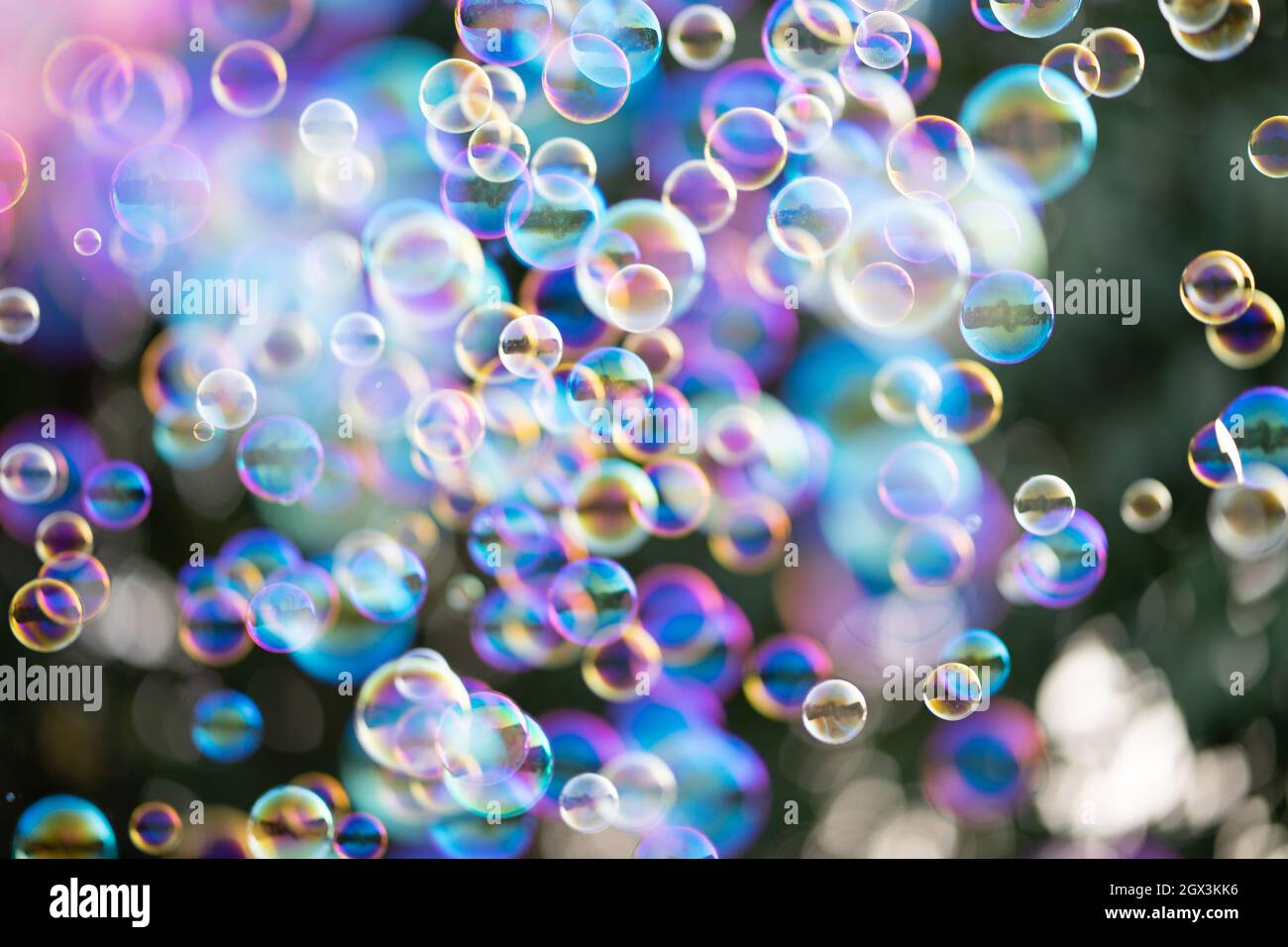 Lots Of Soap Bubbles Floating Beautifully Stock Photo Alamy