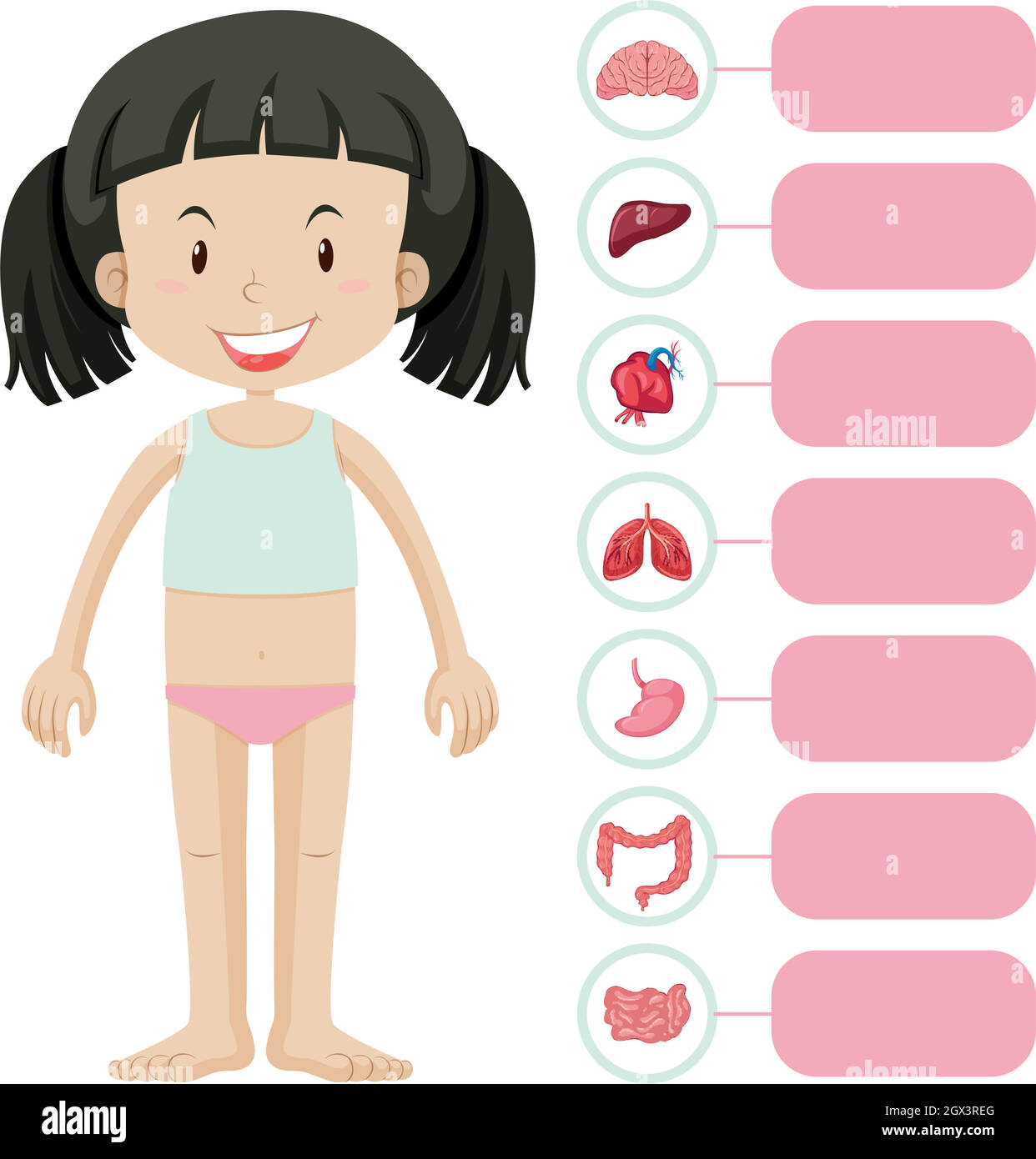 Little girl and different parts of body Stock Vector