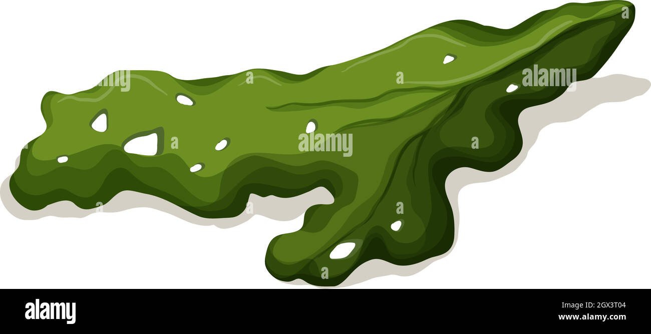 Rotten cabbage Stock Vector Images - Alamy