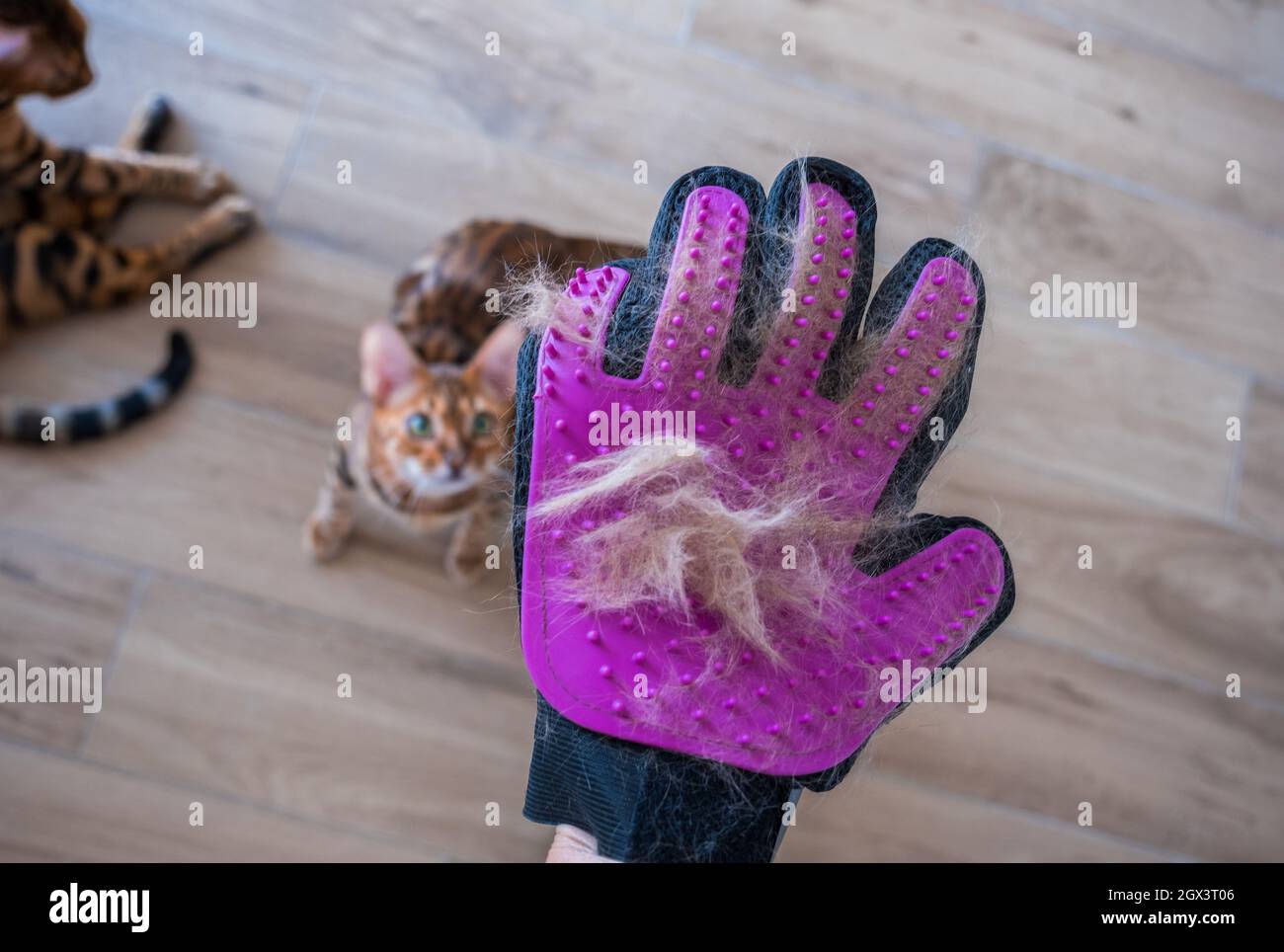 Glove for combing wool. Glove with silicone lining with cat fur. Taking