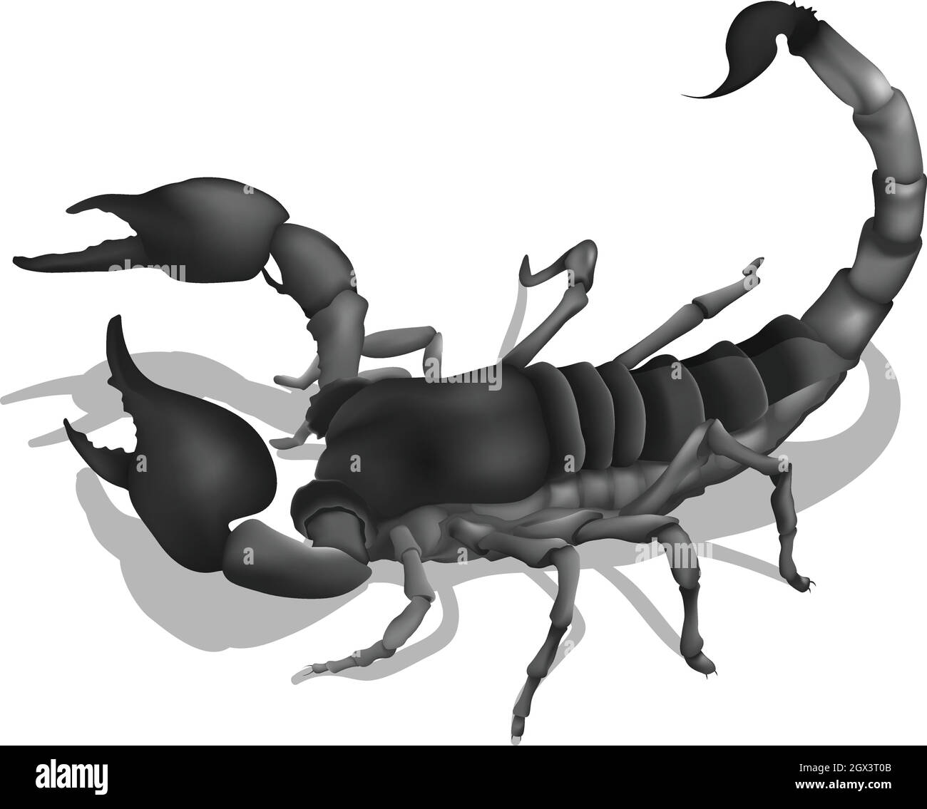 A deadly scorpion Stock Vector