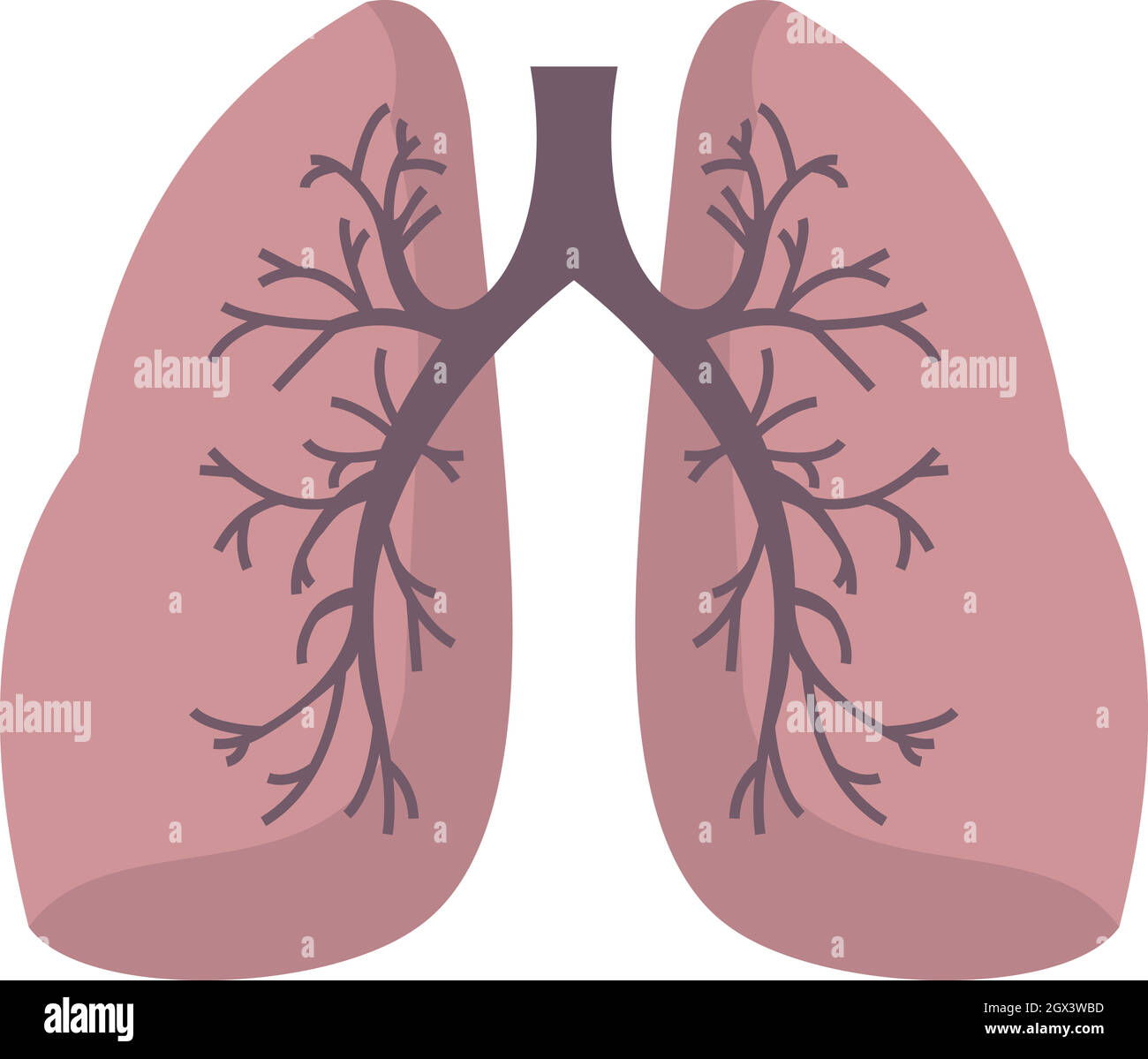 Lungs icon, flat style Stock Vector