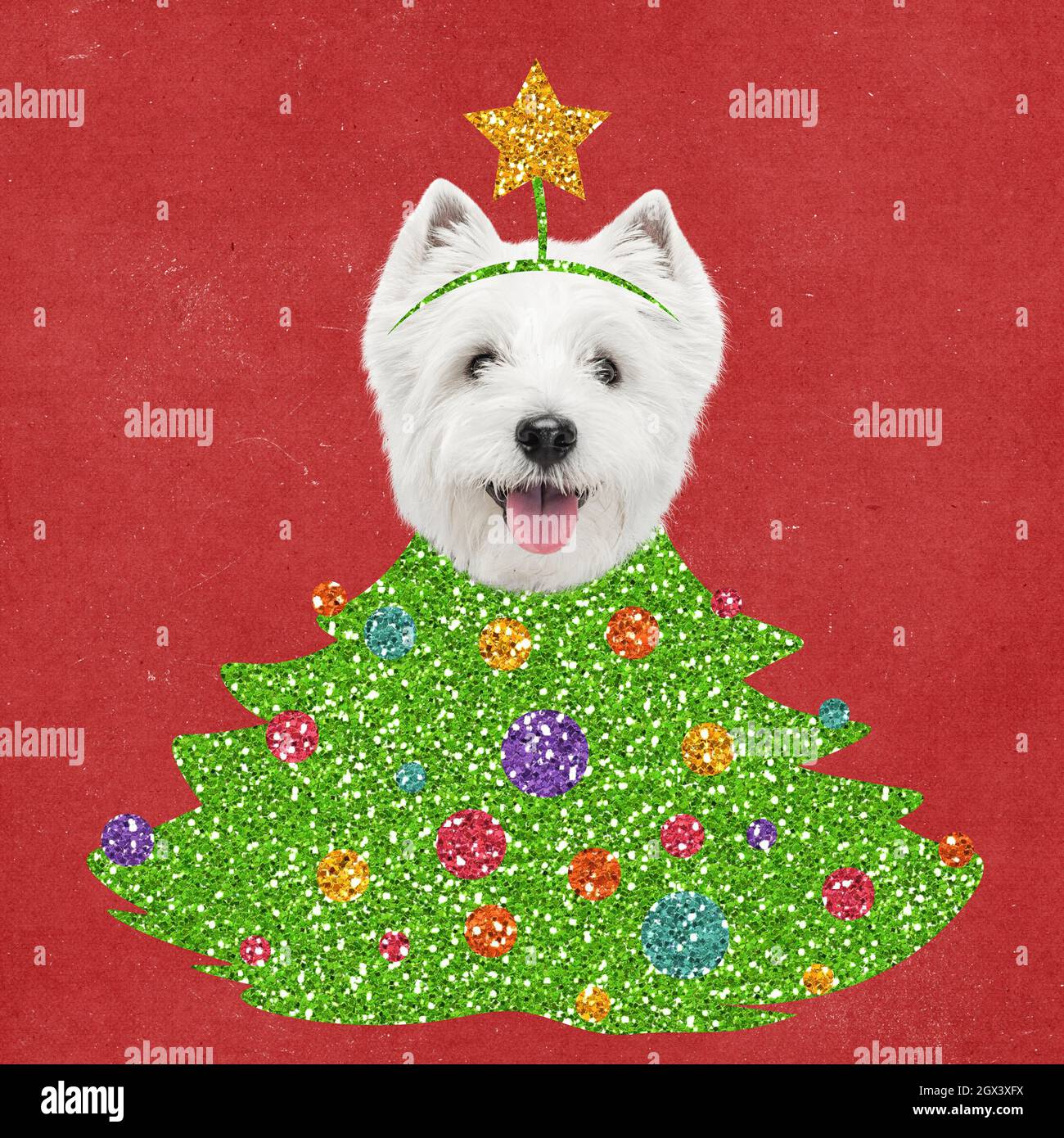 Highlands Christmas 2022 Greeting Flyer For Ad. Concept Of Christmas, 2022 New Year's, Winter Mood,  Holidays. Copyspace, Postcard Stock Photo - Alamy