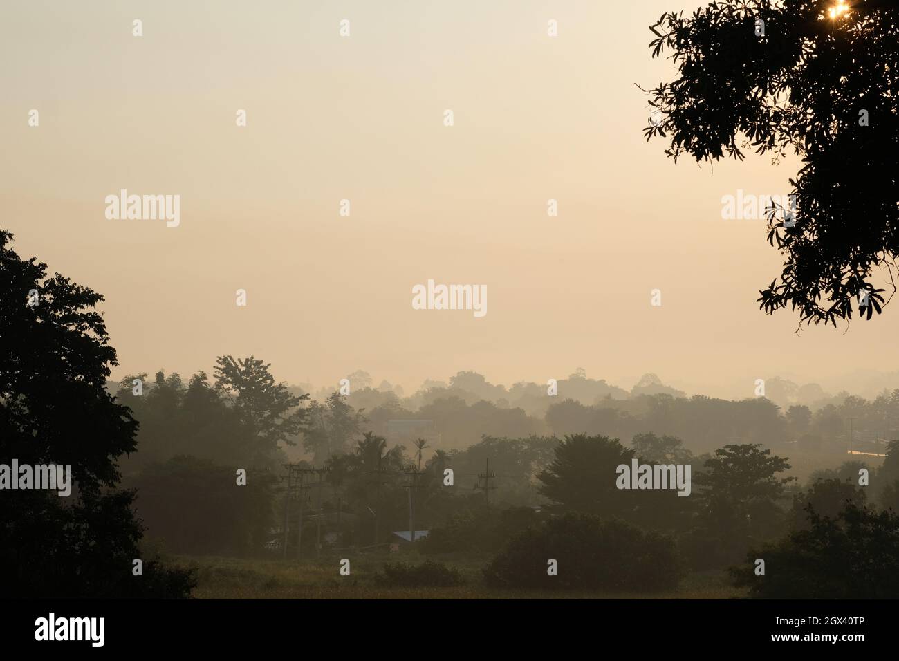 Silhouette Trees Against Sky At Dawn Stock Photo