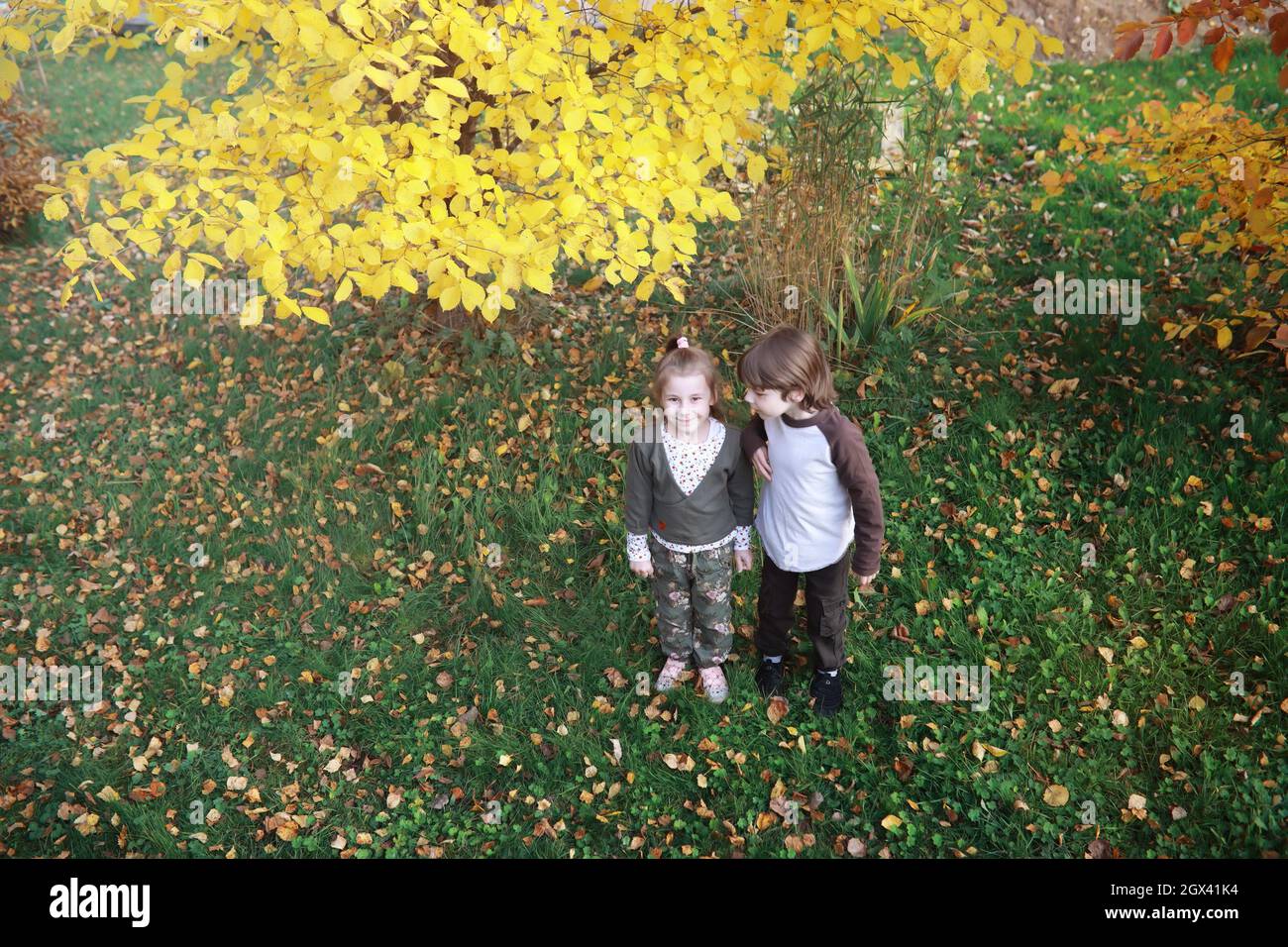 Young family on a walk in the autumn park on sunny day. Happiness to be ...