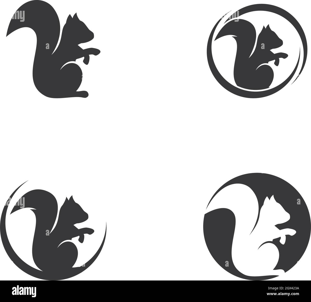 Squirrel logo Black and White Stock Photos & Images - Alamy