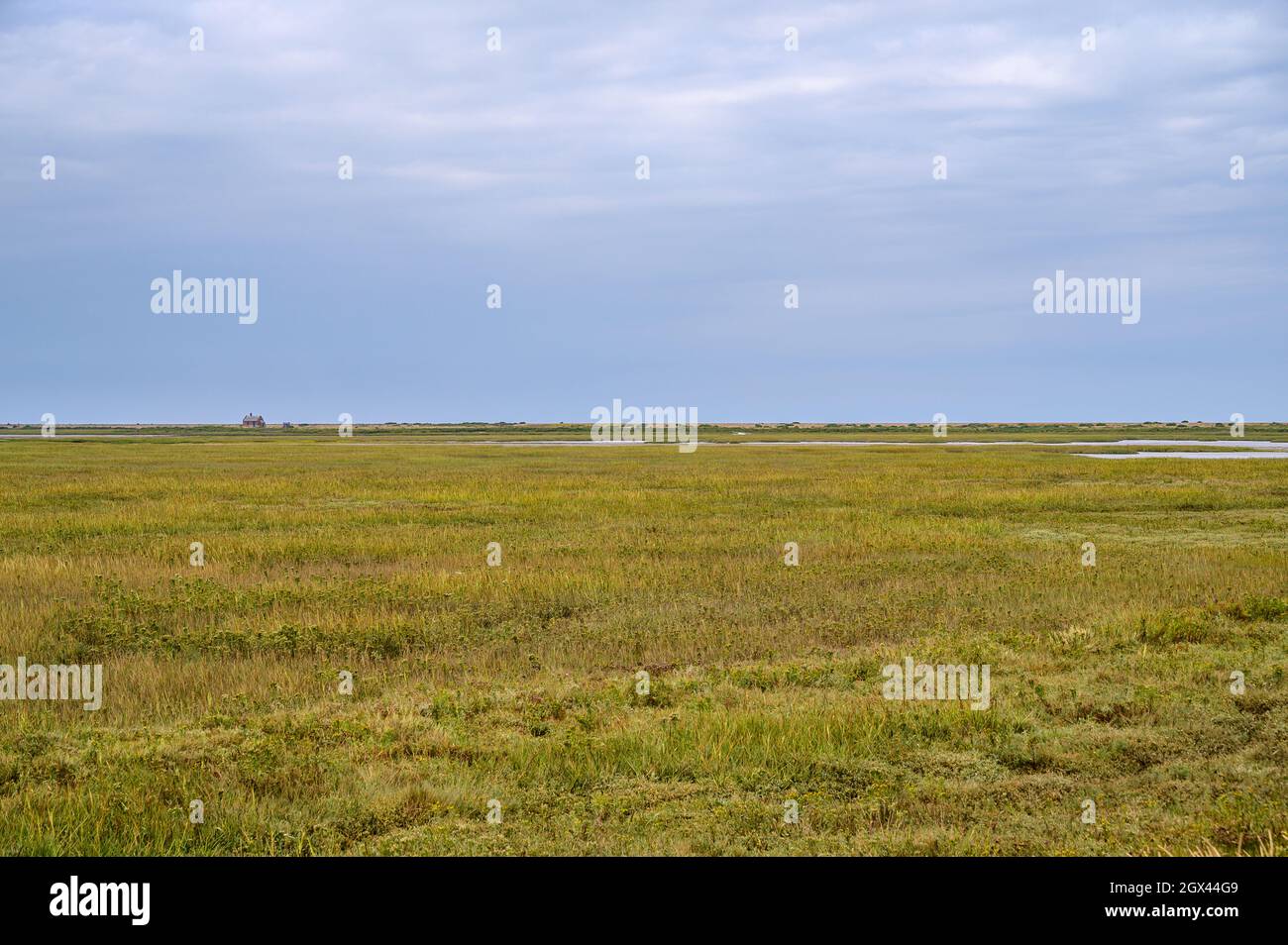 Far reaching views over Blakeney Natural Nature Reserve with Blakeney Watch House on the horizon in the distance. Norfolk, England. Stock Photo