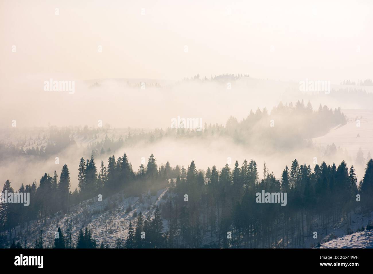 Atmospheric fog rolling hi-res stock photography and images - Alamy