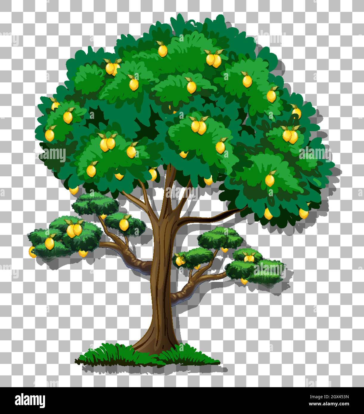 Lemon tree on transparent background illustration Stock Vector Image ...
